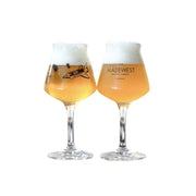 two stemmed beer glasses with an illustration of a space shuttle on the side.